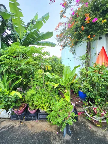 🌴 Bán Đất 71m2 có sẵn 71 m2 thổ cư giá 2.95 tỷ tại Đường Số 8 Phường Long Phước Quận 9 TP. Hồ Chí Minh.
