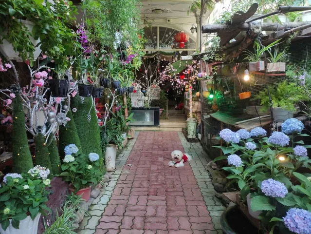 🏡 BÁN NHÀ 2 TẦNG KHU VỰC BÀN CỜ, SÂN VƯỜN THOÁNG MÁT – GẦN QUẢNG TRƯỜNG 2/4, BAO KHÔNG NGẬP ÚNG KHI MƯA, LŨ VỚI GIÁ CHỈ 12,6 TỶ TRONG NĂM 2026