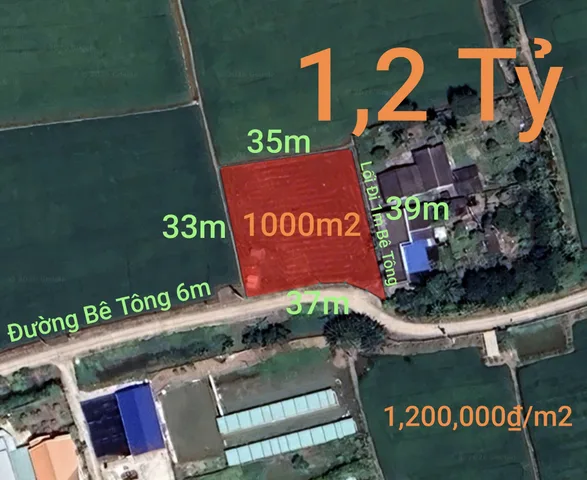 Bán Đất 1000m2 giá 1.2 tỷ tại Xã Lạc Tấn Huyện Tân Trụ Long An