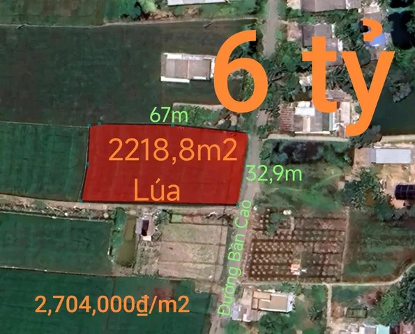 Bán Đất 2218m2 giá 6 tỷ tại Xã Tân Phước Tây Huyện Tân Trụ Long An