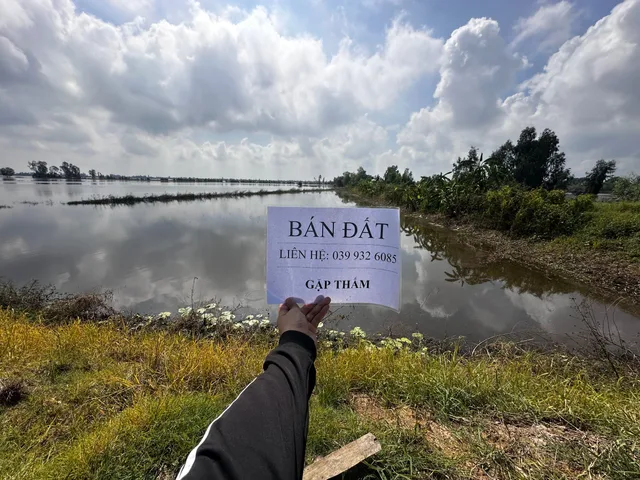 Bán Đất 3076.1m2 giá 420 triệu tại Xã Phú Cường Huyện Tam Nông Đồng Tháp