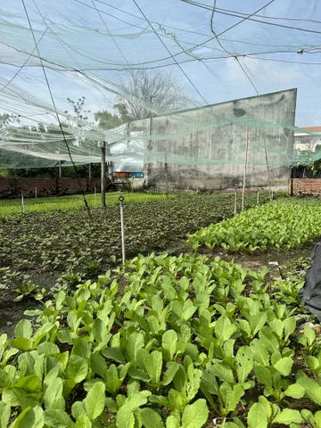 Bán Đất 1100m2 có sẵn 300 m2 thổ cư giá 14 tỷ tại Đường Trịnh Thị Miếng Xã Thới Tam Thôn Huyện Hóc Môn TP. Hồ Chí Minh