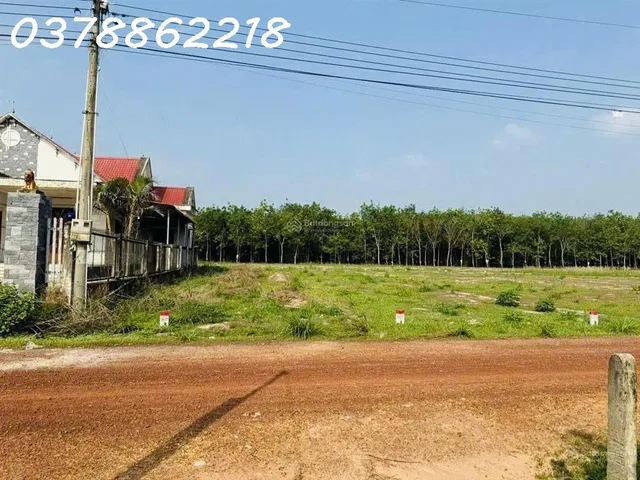 Bán gấp lô đất đường Lò Rèn, xã Long Hòa, Dầu Tiếng, 9200m2, giá 4,2tr/m2