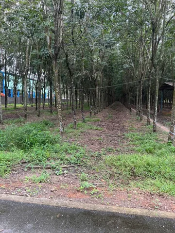 Bán Đất 1780m2 có sẵn 160 m2 thổ cư giá 3.2 tỷ tại Phường Chánh Phú Hòa Thị xã Bến Cát Bình Dương