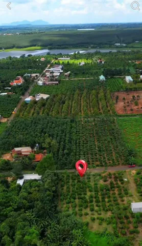 ĐẤT ĐẸP – GIÁ ĐẦU TƯ  – CẦN BÁN Tại Bình Giã, Châu Đức, Bà Rịa Vũng Tàu