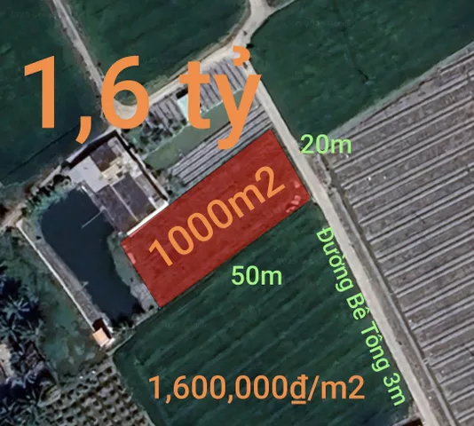 Bán Đất 1000m2 giá 1.6 tỷ tại Xã Đức Tân Huyện Tân Trụ Long An
