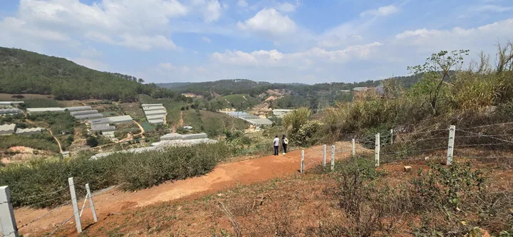 Bán đất view thung lũng view thông khu măng ling 212m2 giá tốt chỉ 4,550 tỷ thương lượng