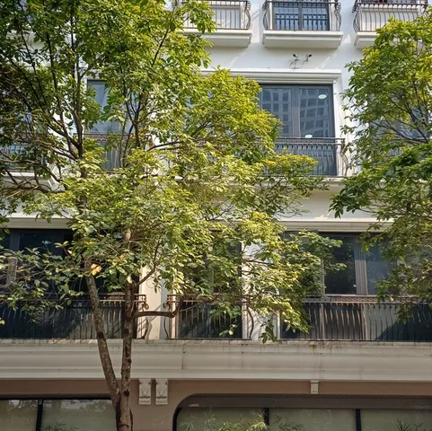 Bán tòa văn phòng lô góc Đình Thôn – 317m² – Dòng tiền 220 triệu/tháng – Giá thương lượng