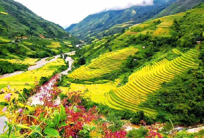 GÓC NHÌN ĐẦU TƯ BẤT ĐỘNG SẢN NGHỈ DƯỠNG  ALPHORA MUONG HOA