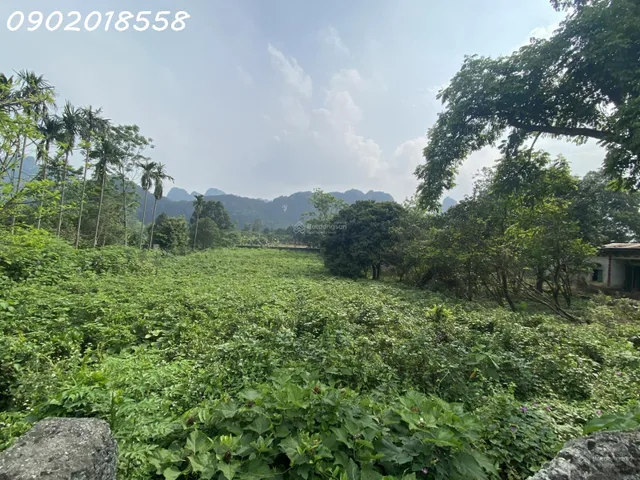 🌳 5.000m² ĐẤT 2 MẶT TIỀN – GẦN HÀ NỘI, TIỀM NĂNG KHAI THÁC ĐA DẠNG