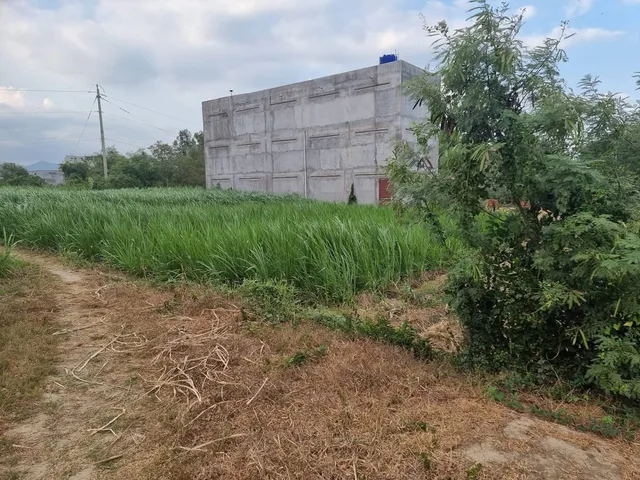 Bán Đất 652.9m2 giá 300 triệu tại Thị trấn Chợ Lầu Huyện Bắc Bình Bình Thuận