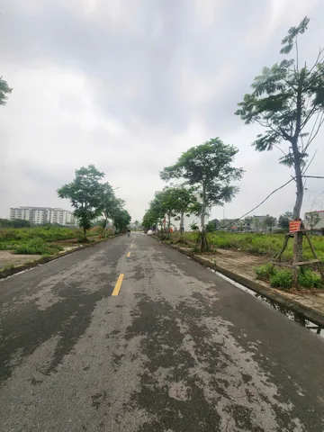 🌕Bán Đất LK2 Himlam Thụ Ninh, Vạn An, Mt 4.5m Dt 81m2 Giá 6.8 Tỷ lh e Điệp 0395777369