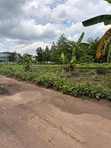 Bán Đất 1050m2 có sẵn 100 m2 thổ cư giá 235 triệu tại Xã Tân Lợi Huyện Đồng Phú Bình Phước