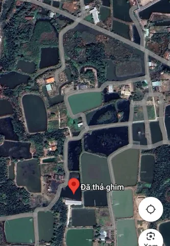 Bán Đất 3950m2 giá 4.05 tỷ tại Xã Phước Lại Huyện Cần Giuộc Long An