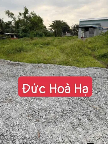 Bán Đất 100m2 có sẵn 100 m2 thổ cư giá 650 triệu tại Xã Đức Hòa Hạ Huyện Đức Hòa Long An