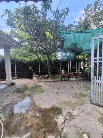 Bán Nhà riêng 300m2 có sẵn 250 m2 thổ cư giá 6 tỷ tại Đường Lê Thị Đồ Xã Bà Điểm Huyện Hóc Môn TP. Hồ Chí Minh