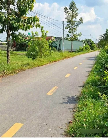 🔥 CHỦ GỬI BÁN 3 LÔ LIỀN KỀ – RỪNG SẾN 🔥
📍 Mặt tiền đường nhựa Rừng Sến
📐 Diện tích: 5 × 32m/lô