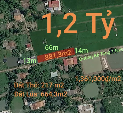 Bán Đất 881.3m2 có sẵn 217 m2 thổ cư giá 1.2 tỷ tại Xã Nhựt Ninh Huyện Tân Trụ Long An
