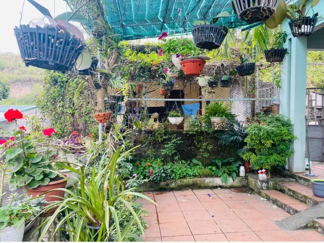 BÁN ĐẤT DIỆN TÍCH 190M² NGÕ 16 CAO XANH,HẠ LONG,QUẢNG NINH