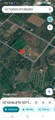 Bán Đất 3776m2 giá 39 tỷ tại Xã Quảng Thành Huyện Châu Đức Bà Rịa - Vũng Tàu