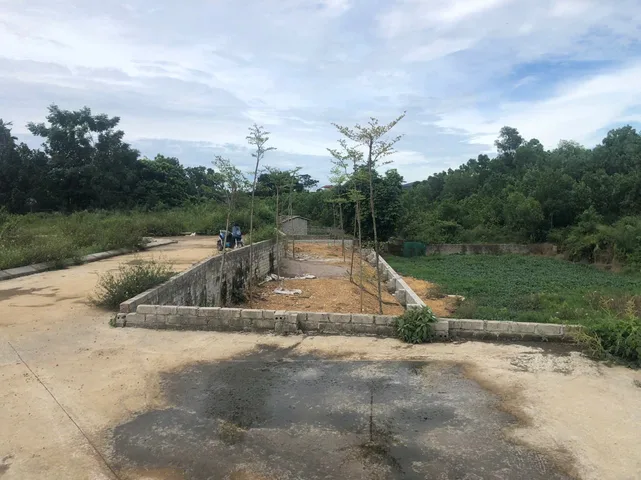 Bán Đất 235.5m2 giá 1 tỷ tại Thôn Trại Láng Xã Cổ Đông Thị xã Sơn Tây Hà Nội