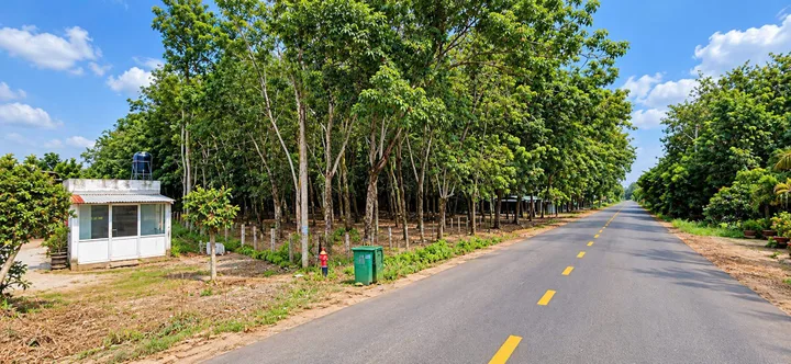 Bán đất tại Xã An Long Bình dương, nay là HCM