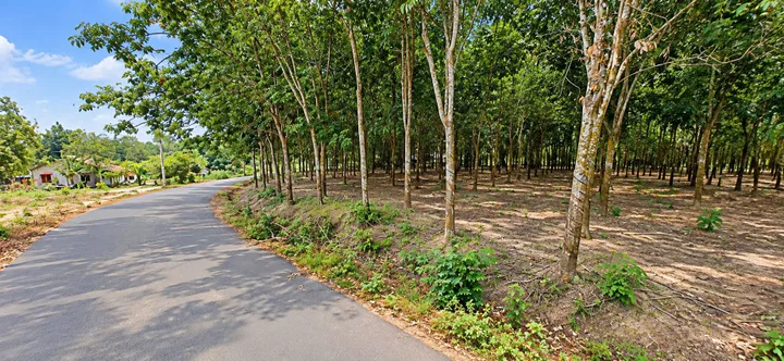 Bán Đất 19136m2 có sẵn 17710 m2 thổ cư giá 135 tỷ tại Xã An Long Huyện Phú Giáo Bình Dương