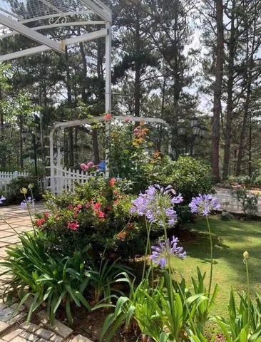 Căn villa đậm chất nghỉ dưỡng giáp rừng thông xanh mát trong khu Nam Hồ