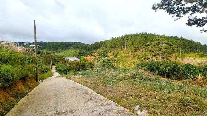 Bán Đất 728m2 giá 4.7 tỷ tại Đường Xuân Thọ