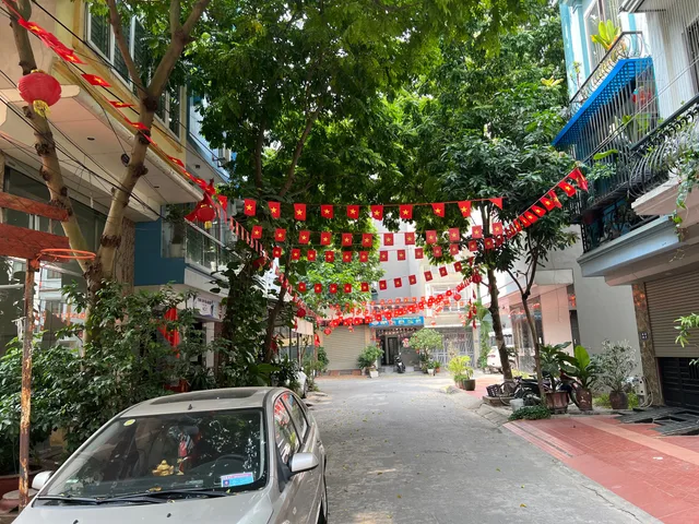 Bán đất phân lô liền kề Ngô Đình Mẫn 50m², hướng Tây Nam, giá nhỉnh 10