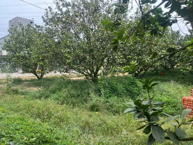 Bán Đất 1500m2 giá 400 triệu sở hữu tại Xã Trừ Văn Thố TP. Hồ Chí Minh