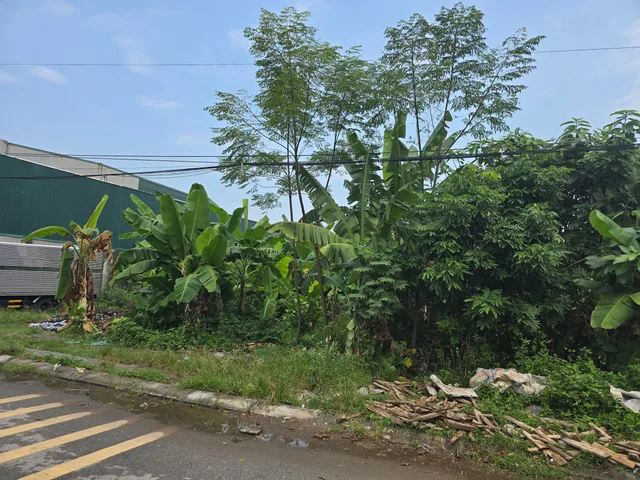 Bán Đất 356m2 có sẵn 356 m2 thổ cư giá 13.5 tỷ tại Phường Lam Hà Thành phố Phủ Lý Hà Nam