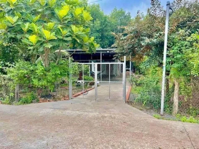 CHÍNH CHỦ CẦN BÁN GẤP LÔ ĐẤT GẦN CHỢ, 1.620m2 (CÓ ÍT CÂY ĂN TRÁI ), GIÁ 310 TRIỆU