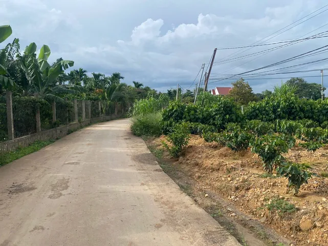 Bán Đất 2000m2 có sẵn 300 m2 thổ cư giá 3.5 tỷ tại Xã Ninh Gia Huyện Đức Trọng Lâm Đồng