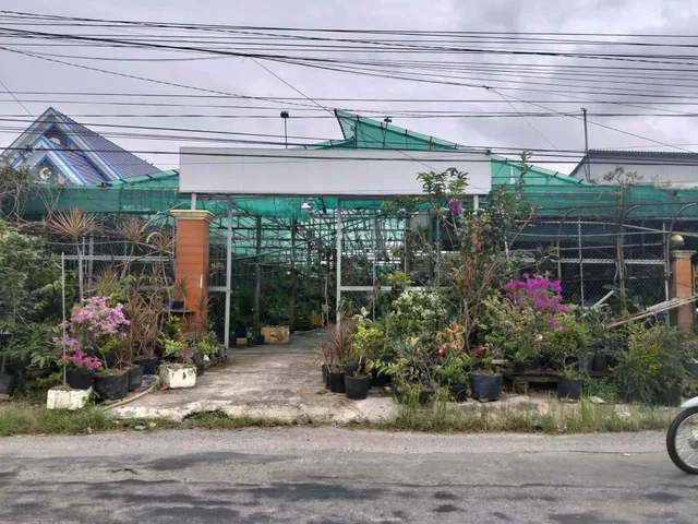 Bán Đất 2700m2 có sẵn 400 m2 thổ cư giá 7.5 tỷ tại Đường Tỉnh lộ 954 Xã Tân Hòa Huyện Phú Tân An Giang