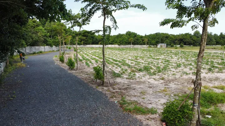 Bán Đất 210m2 có sẵn 80 m2 thổ cư giá 1.4 tỷ tại Xã Phước Thuận Huyện Xuyên Mộc Bà Rịa - Vũng Tàu