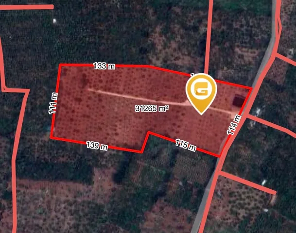 Bán Đất 29000m2 giá 22 tỷ tại Xã Ea Ngai Huyện Krông Búk Đắk Lắk