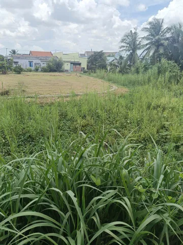 Bán Đất 1000m2 giá 6.5 tỷ tại Xã Thanh Phú Huyện Bến Lức Long An