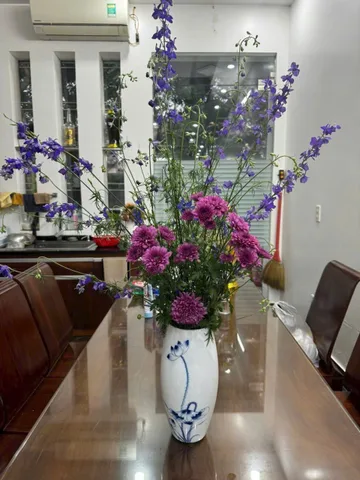 Cho thuê Nhà riêng 70m2 giá 12 triệu tại Đường Bạch Đằng Phường Thượng Lý Quận Hồng Bàng Hải Phòng