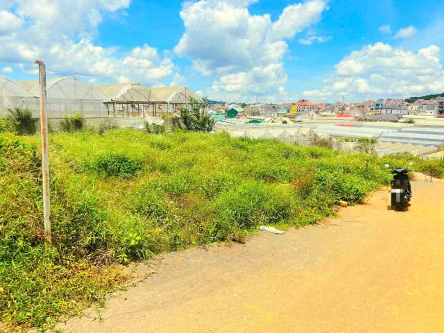 🔥 NGANG 11M – FULL THỔ CƯ 210M², ĐẤT ĐẸP ĐÀ LẠT CHỈ 4,3 TỶ! 🔥