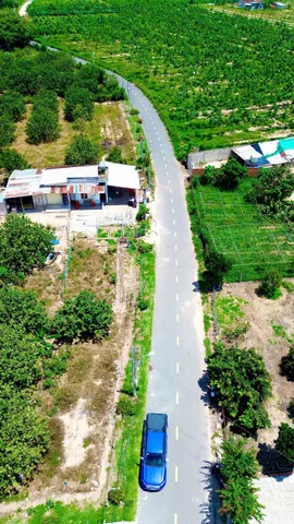 Chính chủ cần tiền bán gấp 250m2 sẵn thổ cư sổ sẵn ngay dt750 chợ lai uyên bàu bàng full 850tr