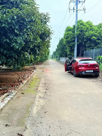💸 775 TRIỆU BÂY GIỜ MUA ĐƯỢC ĐẤT GÌ VÙNG VEN SÀI GÒN? ĐÂY LÀ CÂU TRẢ LỜI THỰC TẾ CHO ANH CHỊ!