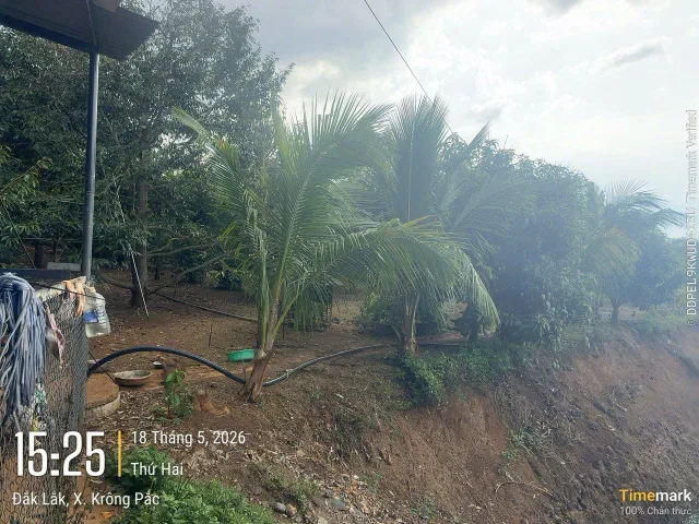 Bán Đất 6700m2 giá 5.7 tỷ tại Xã Ea Yông Huyện Krông Pắc Đắk Lắk