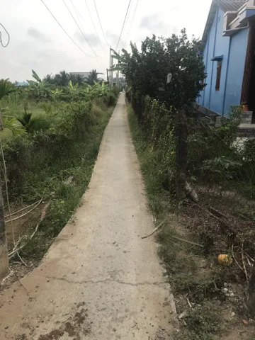 Bán Đất 331.2m2 có sẵn 100 m2 thổ cư giá 250 triệu tại Xã Quơn Long Huyện Chợ Gạo Tiền Giang
