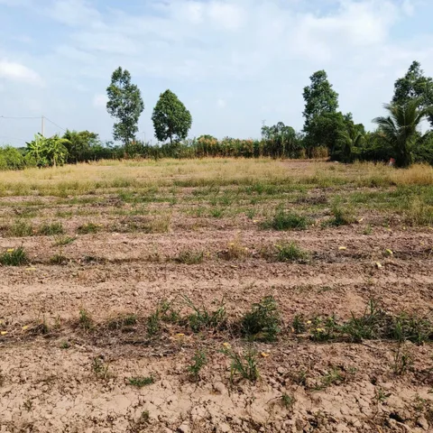 Bán Đất 5500m2 có sẵn 300 m2 thổ cư giá 5.33 tỷ tại Xã Tăng Hoà Huyện Gò Công Đông Tiền Giang
