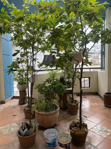 Bán nhà nở hậu 6m Trần Hữu Trang, P.11, Phú Nhuận, 4x14m, 4 tầng, chỉ 12.9 tỷ