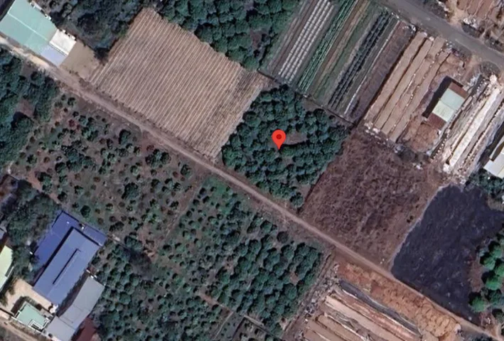 🔥 BÁN LÔ ĐẤT GẦN 2.000M² TẠI LONG HOA, TÂY NINH – GIÁ 19 TỶ 🔥