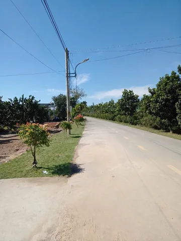 Bán Đất 250m2 có sẵn 100 m2 thổ cư giá 850 triệu tại đường Trừ Văn Thố - Chọn - Xã Bàu Bàng TP. Hồ Chí Minh