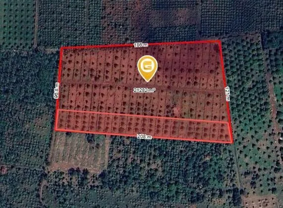 Bán Đất 20000m2 giá 13.5 tỷ tại Xã Ea Tar Huyện Cư M'gar Đắk Lắk ( ĐẤT FULL SẦU RIÊNG GL )