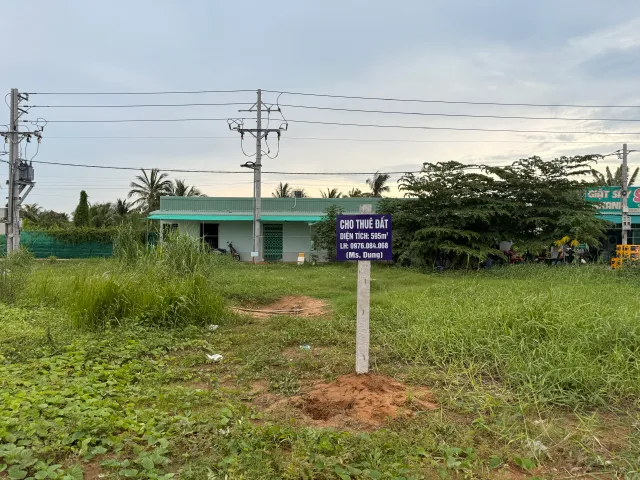 Cho thuê Đất 595m2 (100%thổ cư) giá 25 triệu tại Dự án Đường D7, Phường Trung An, Đồng Tháp